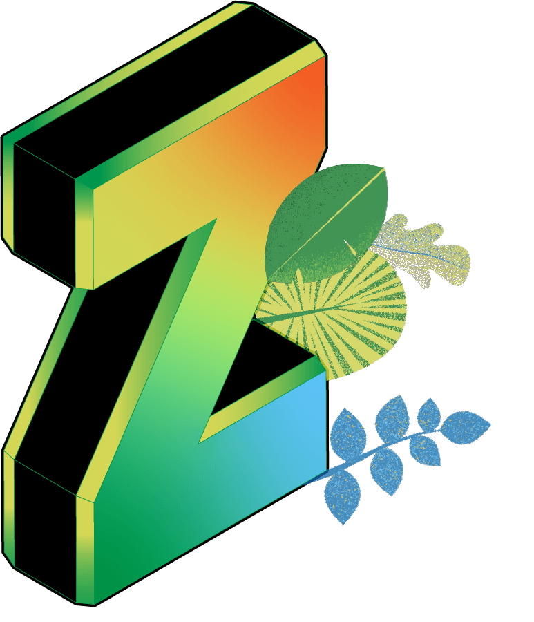 the letter Z